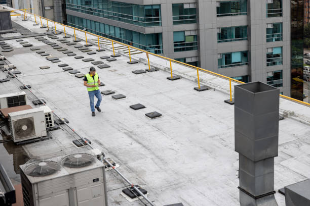 Best Skylight Installation and Repair  in Linton Hall, VA