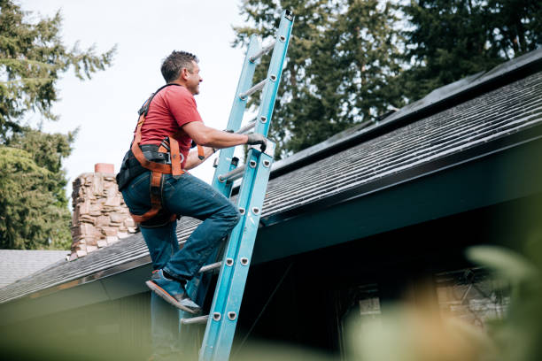 Best Roof Moss and Algae Removal  in Linton Hall, VA